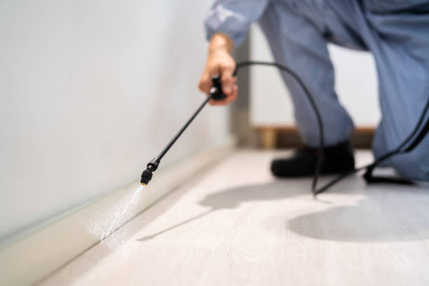 Licensed Termite Control service in Rutherfordton, NC - Nex Pest Control