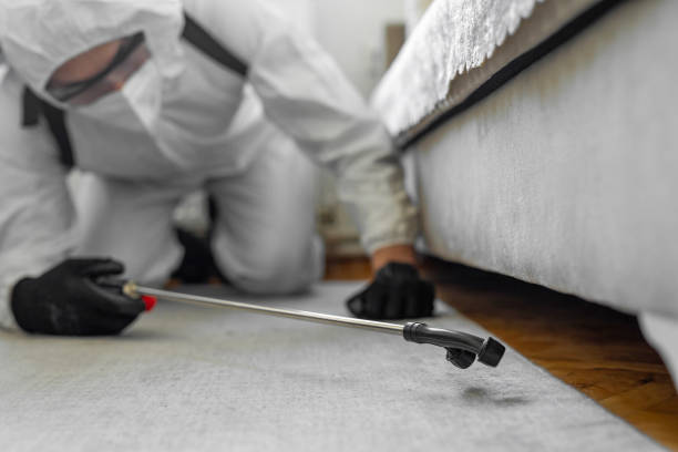 Professional Termite Control technician working in Rutherfordton, NC