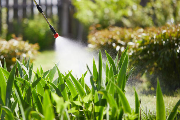 24/7 Emergency Termite Control experts in Rutherfordton, NC