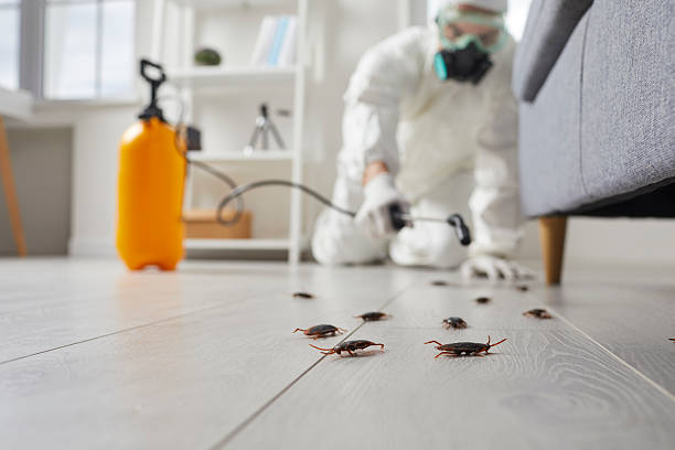 Affordable Termite Control solutions in Rutherfordton, NC